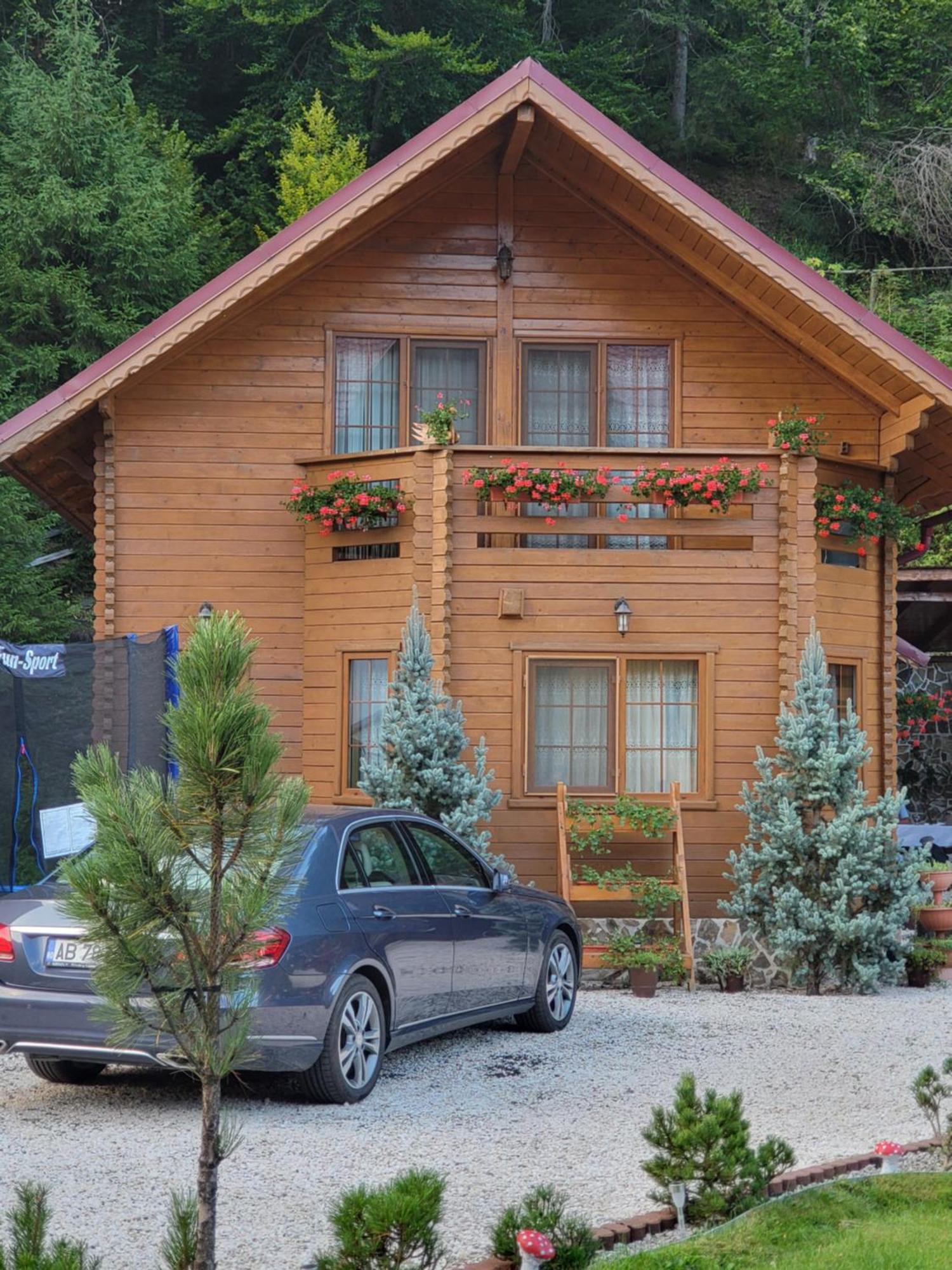 Pensiunea Gianina Arieşeni Exterior foto
